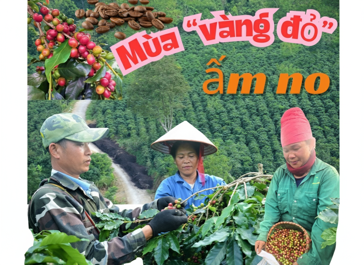 M&ugrave;a "v&agrave;ng đỏ" ấm no