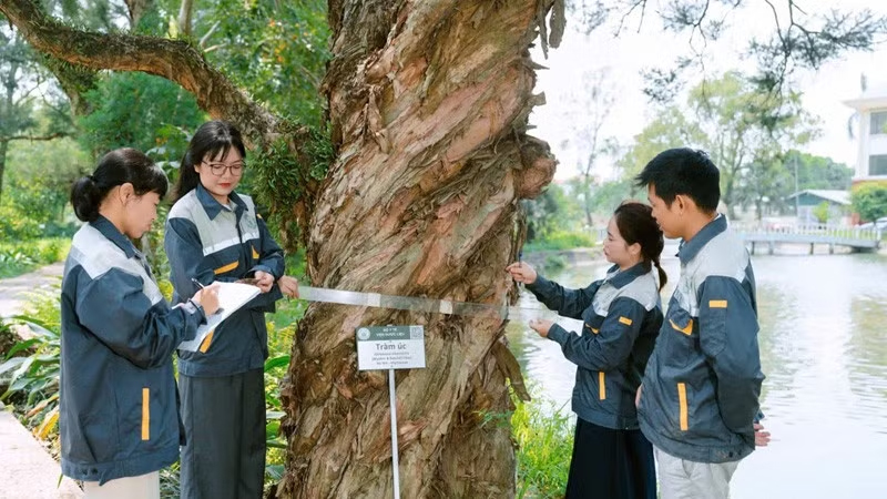 Lấy c&ocirc;ng nghệ l&agrave;m đ&ograve;n bẩy n&acirc;ng tầm dược liệu Việt