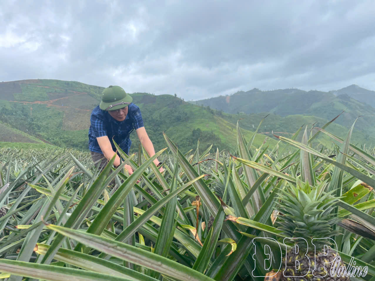 Đưa nghị quyết đảng bộ x&atilde; v&agrave;o cuộc sống