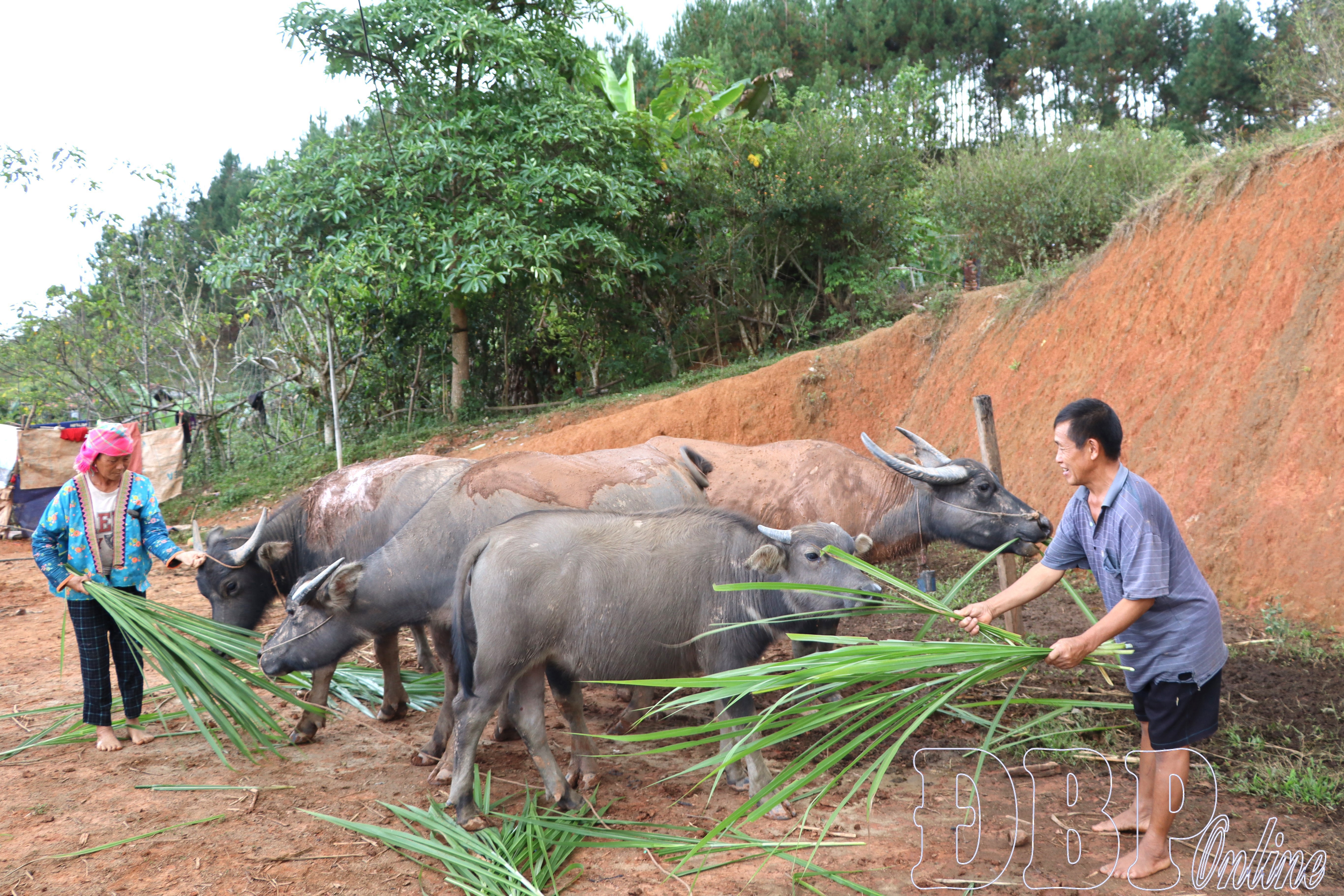 Điểm tựa người d&acirc;n v&ugrave;ng bi&ecirc;n