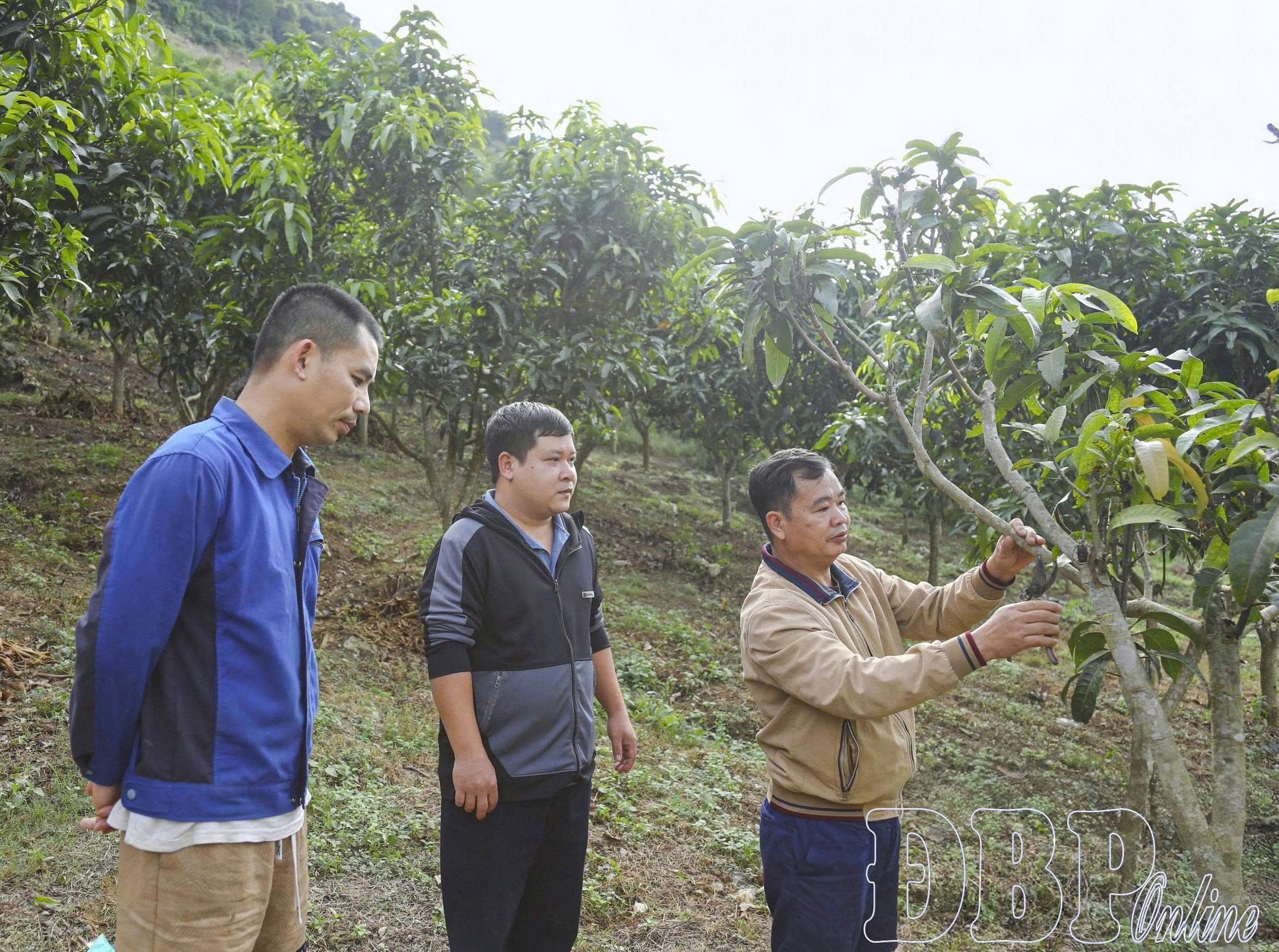 Linh hoạt đưa nghị quyết của Đảng v&agrave;o cuộc sống