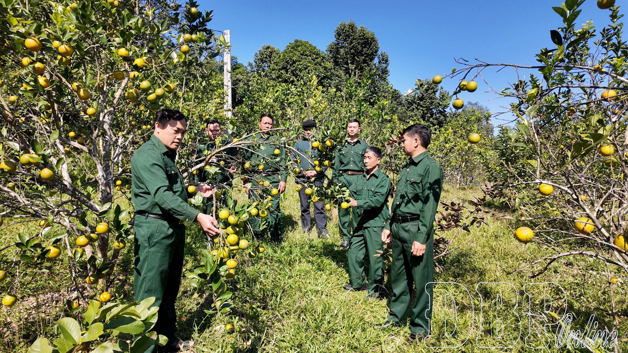 T&ocirc; thắm phẩm chất Bộ đội Cụ Hồ