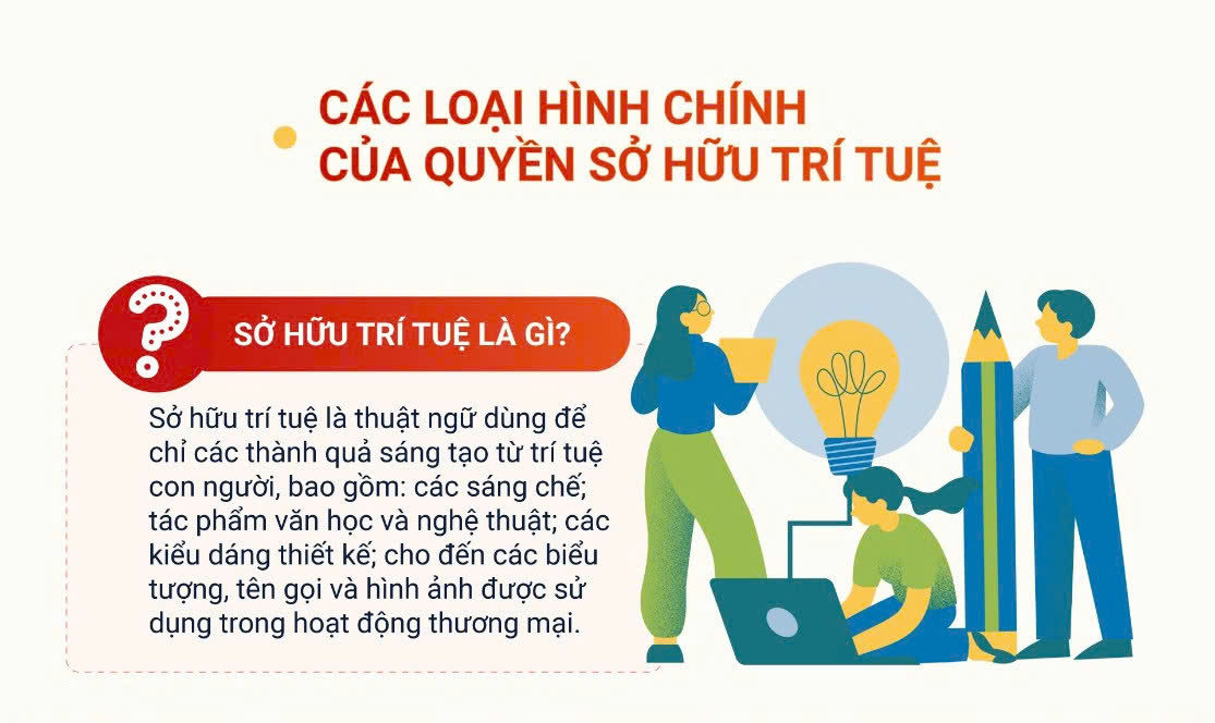 (Infographic) C&aacute;c loại h&igrave;nh ch&iacute;nh của quyền sở hữu tr&iacute; tuệ