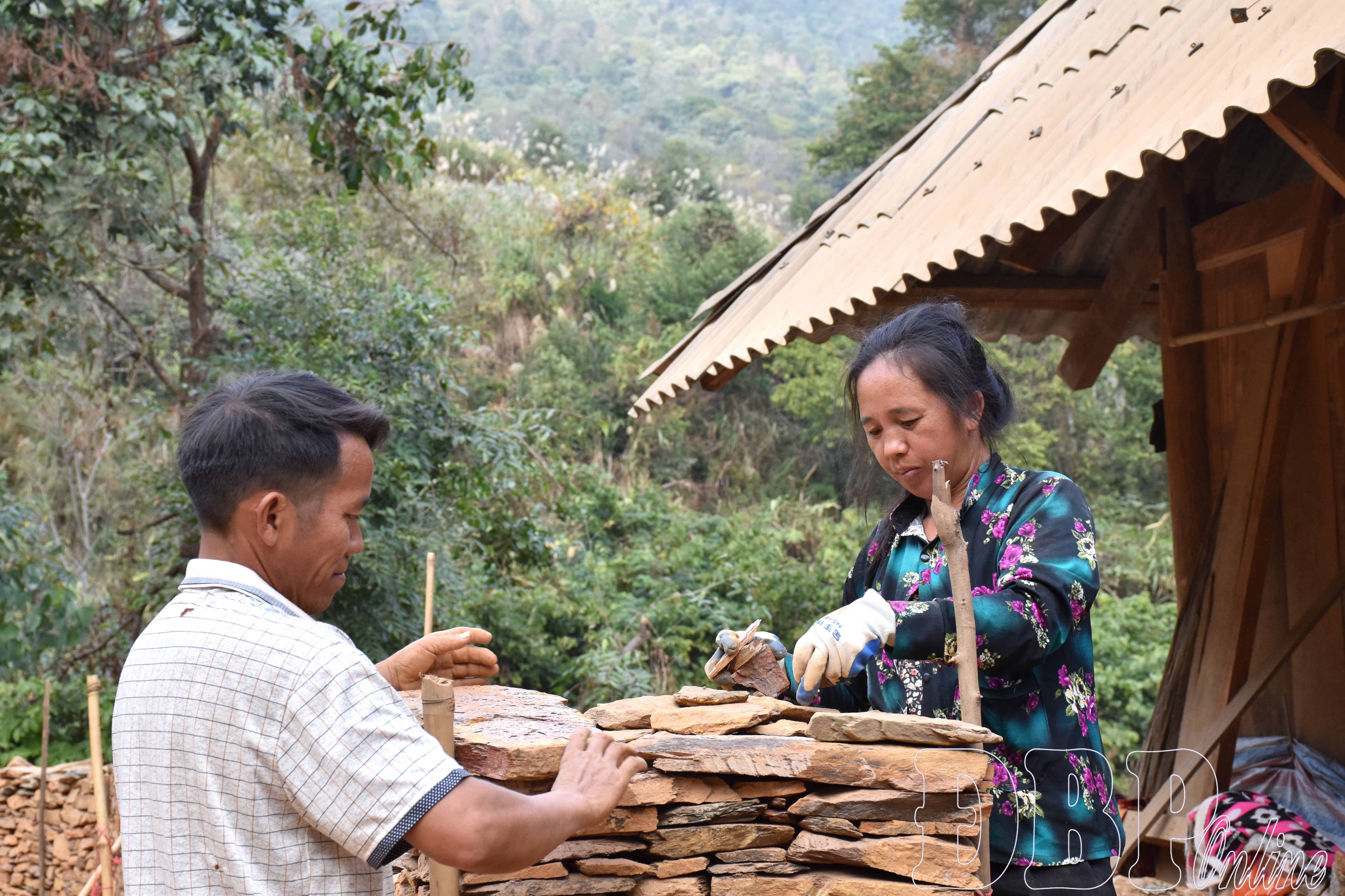 Chủ thể n&ocirc;ng th&ocirc;n mới