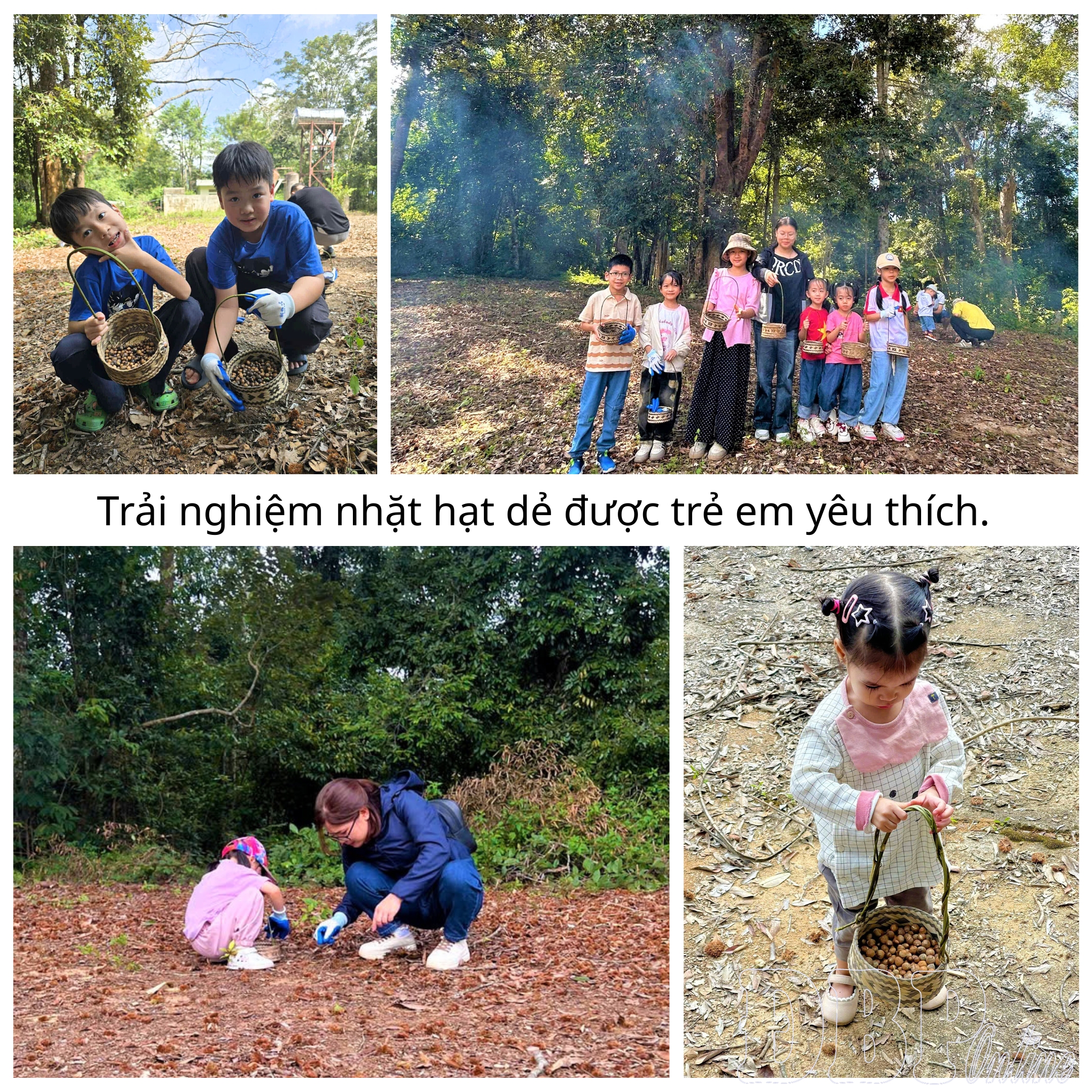 Gieo mầm t&igrave;nh y&ecirc;u rừng từ trải nghiệm thực tế