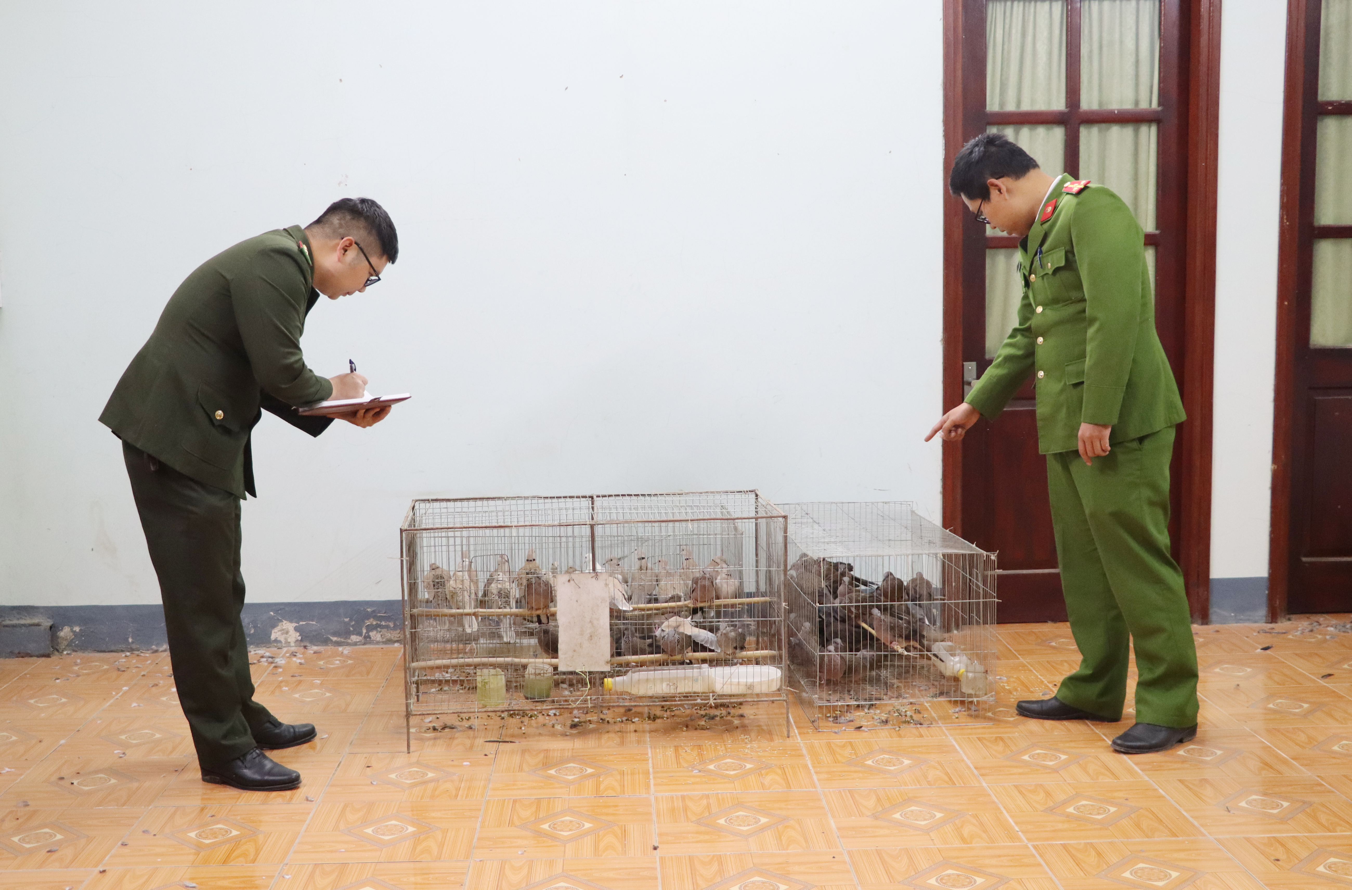 Bị phạt h&agrave;nh ch&iacute;nh 7,5 triệu đồng v&igrave; nu&ocirc;i nhốt chim hoang d&atilde; tr&aacute;i ph&eacute;p