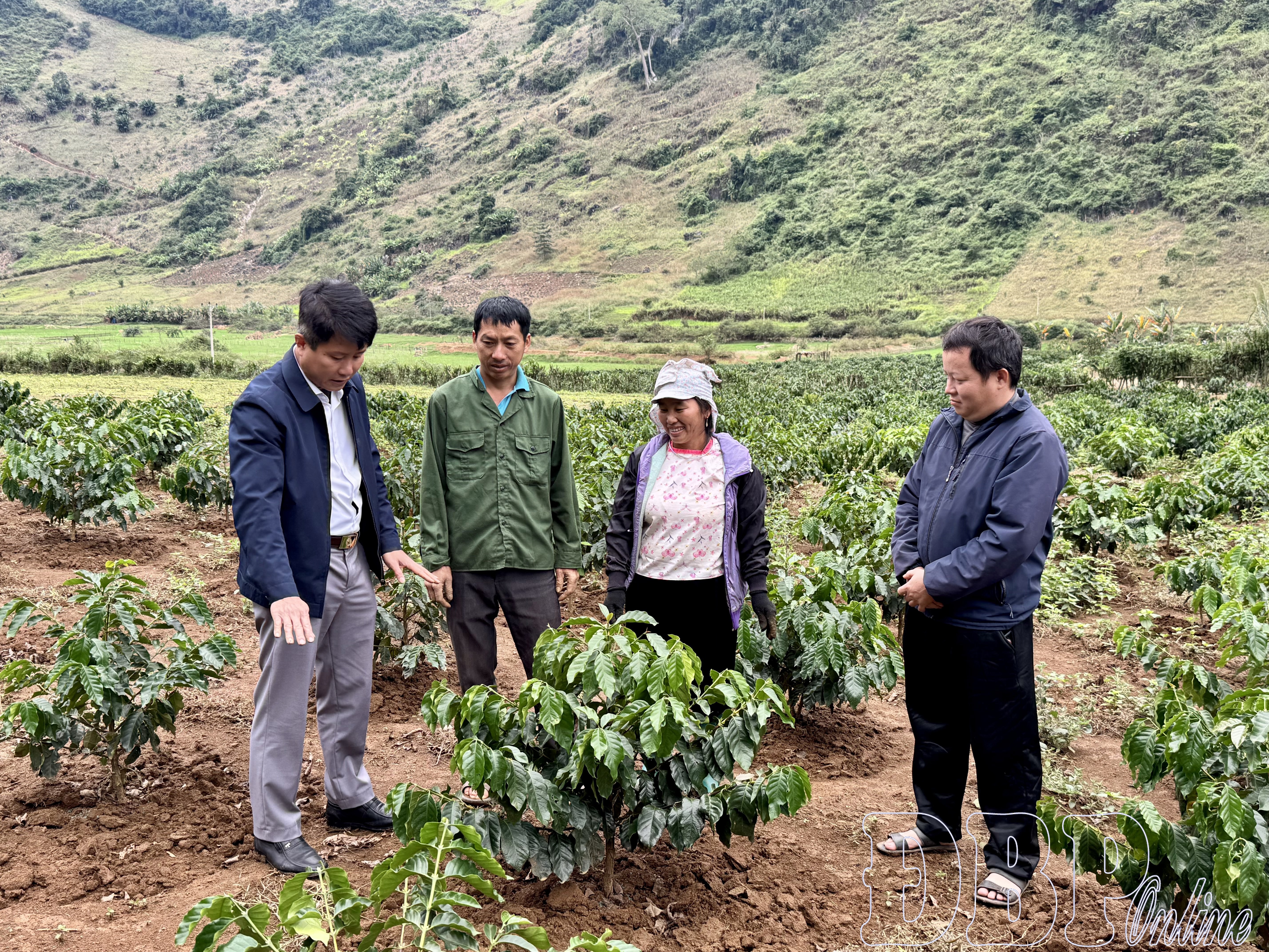 &ldquo;Gieo&rdquo; nghị quyết tr&ecirc;n v&ugrave;ng qu&ecirc; c&aacute;ch mạng 