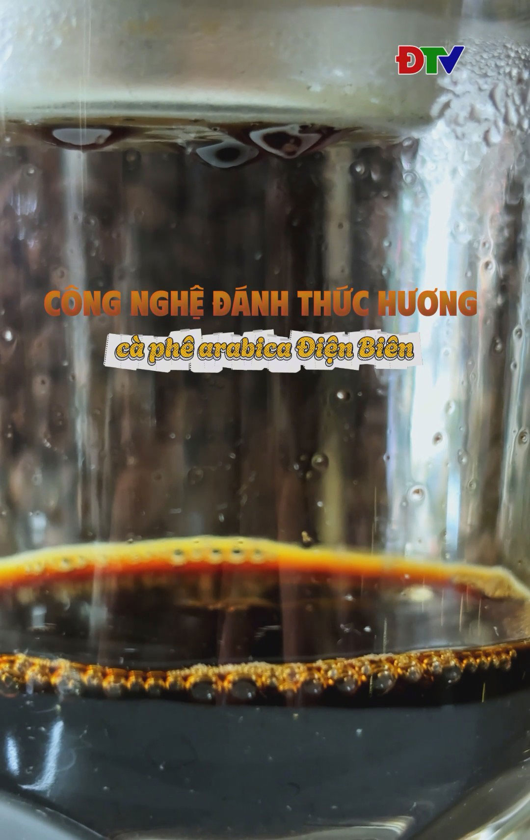 C&ocirc;ng nghệ đ&aacute;nh thức hương c&agrave; ph&ecirc; Arabica Điện Bi&ecirc;n