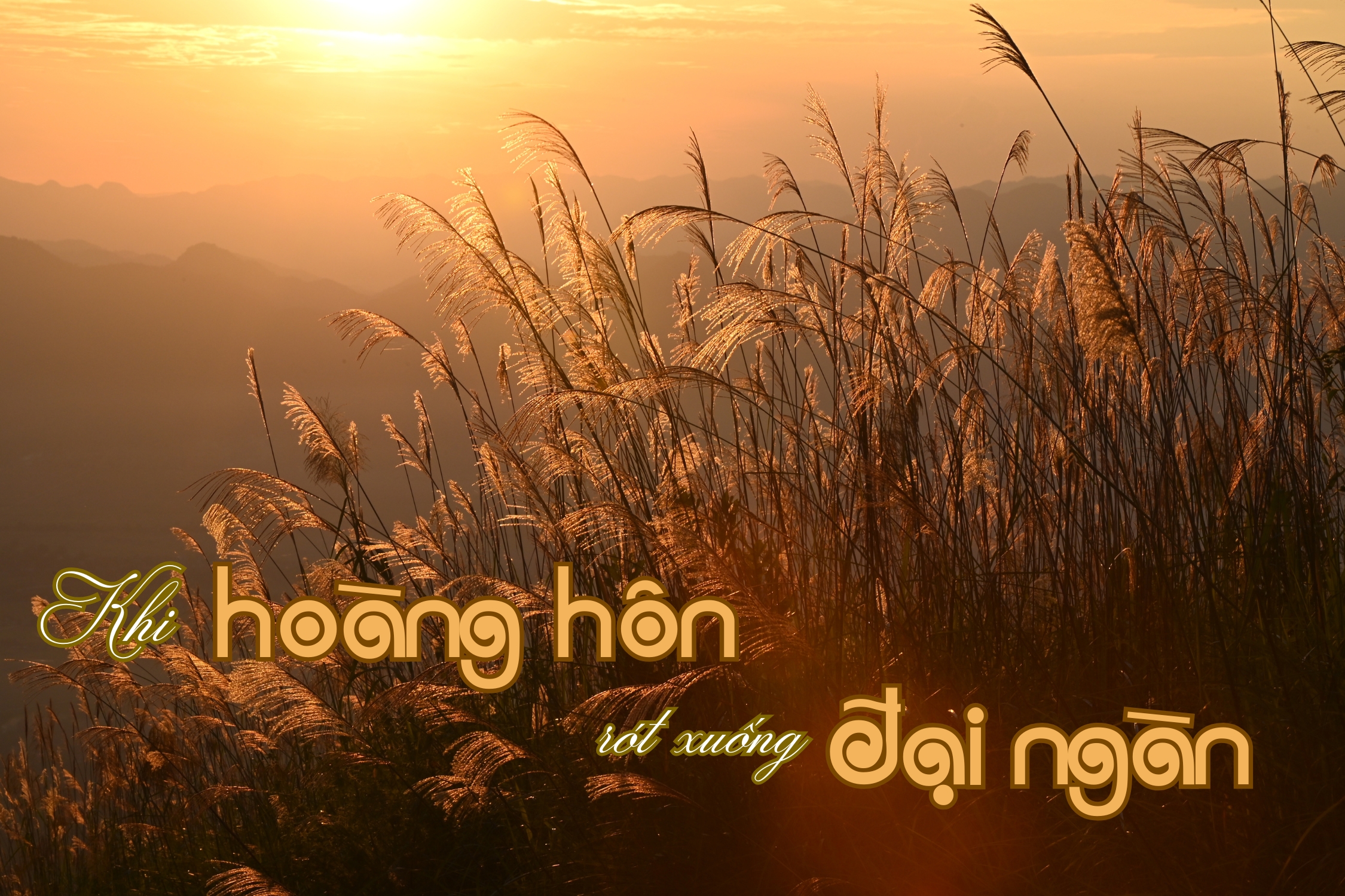 Khi ho&agrave;ng h&ocirc;n r&oacute;t xuống đại ng&agrave;n