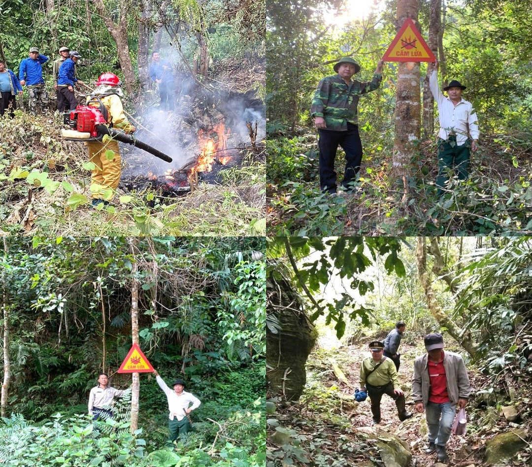 Ch&uacute; trọng giữ rừng dịp cuối năm